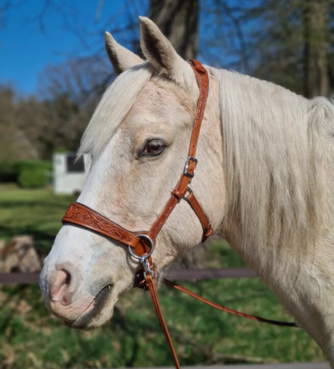 EDIX ED2, sidepull bridle of the Rose collection