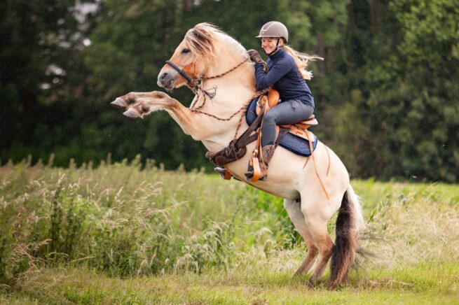 EDIX Santos boomloos westernzadel - Afbeelding 15