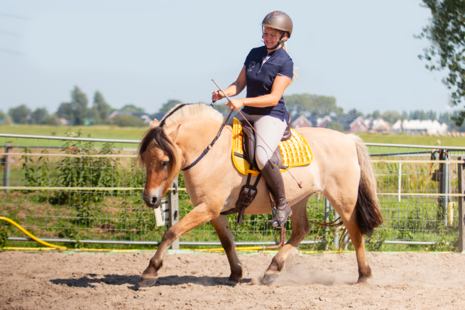 EDIX uni GP 8-pocket cotton saddle pad - Image 19