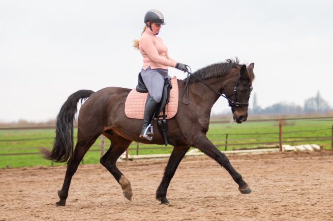 EDIX Zyba flexible dressage saddle - Image 7